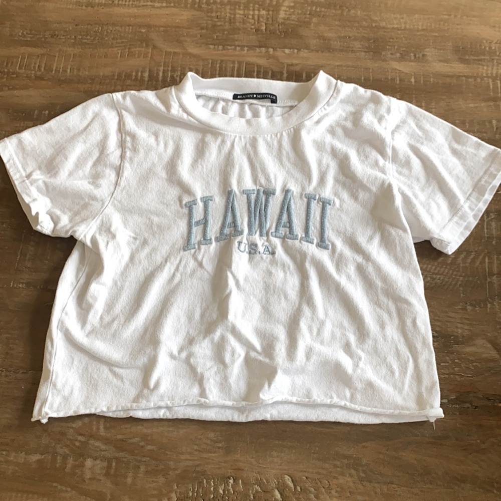 Brandy Melville Hawaii Crop Top